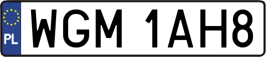 WGM1AH8