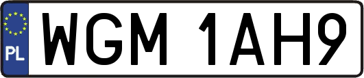 WGM1AH9