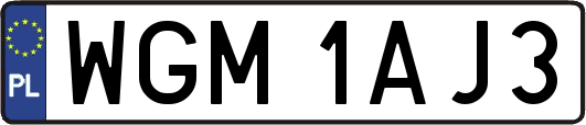 WGM1AJ3