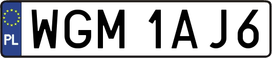 WGM1AJ6
