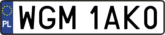 WGM1AK0