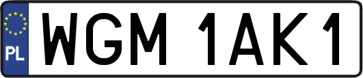 WGM1AK1