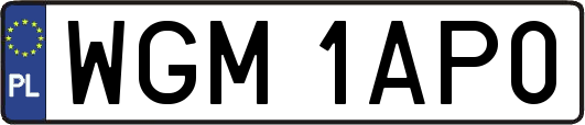 WGM1AP0