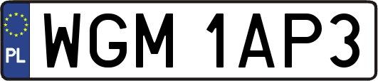 WGM1AP3