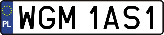 WGM1AS1