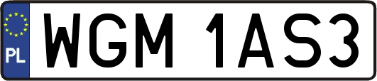 WGM1AS3