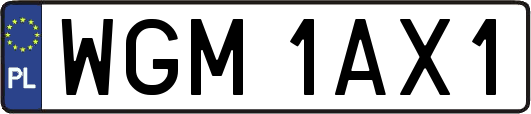 WGM1AX1