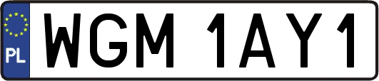 WGM1AY1