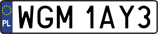 WGM1AY3