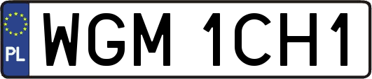 WGM1CH1