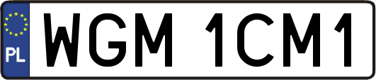 WGM1CM1