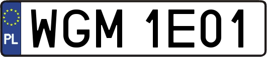 WGM1E01