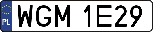 WGM1E29