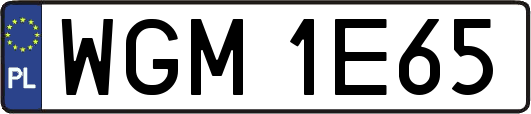 WGM1E65