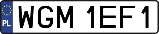 WGM1EF1