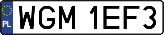 WGM1EF3