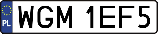 WGM1EF5