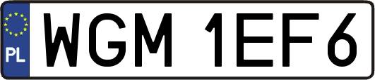 WGM1EF6