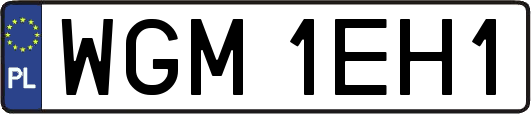 WGM1EH1