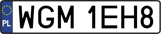 WGM1EH8