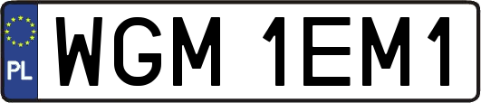 WGM1EM1