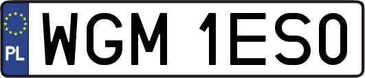 WGM1ES0