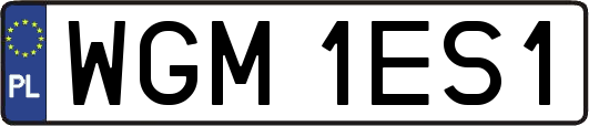WGM1ES1