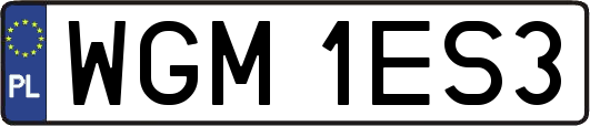 WGM1ES3