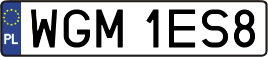 WGM1ES8