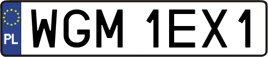 WGM1EX1
