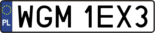 WGM1EX3
