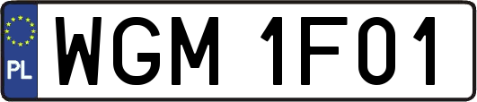 WGM1F01