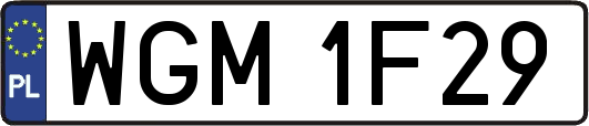 WGM1F29