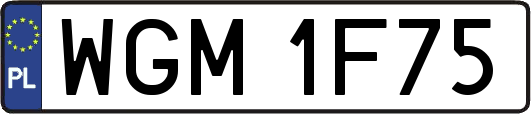 WGM1F75