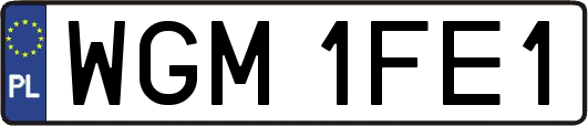 WGM1FE1