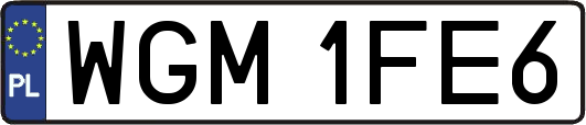WGM1FE6