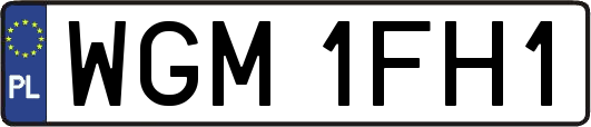WGM1FH1