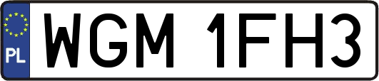 WGM1FH3