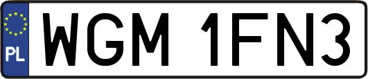 WGM1FN3