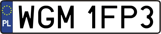WGM1FP3