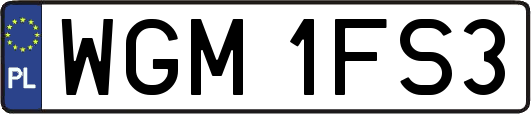 WGM1FS3