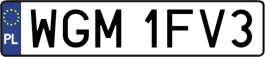 WGM1FV3