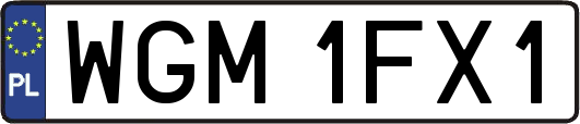 WGM1FX1
