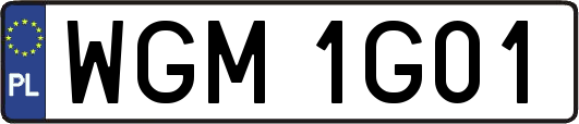 WGM1G01