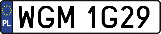 WGM1G29