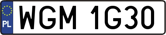 WGM1G30