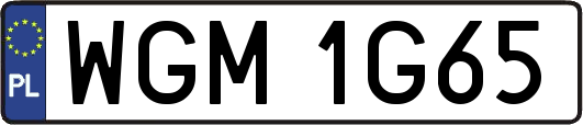 WGM1G65