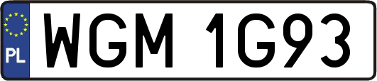 WGM1G93