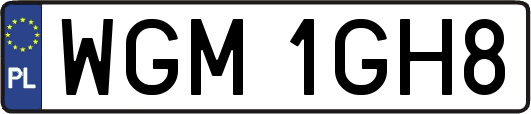 WGM1GH8