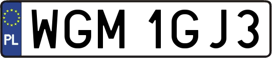 WGM1GJ3